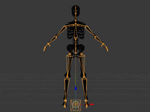 Skeleton of a Woman 3D-Modell