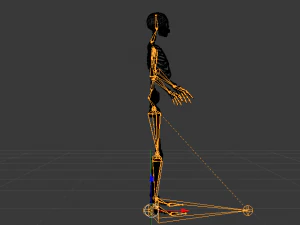 Skeleton of a Woman 3D Model
