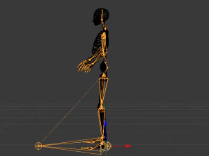 Skeleton of a Woman 3D Model