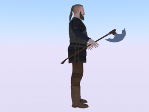 Viking Modello 3D