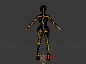 Woman Figure Skater 01 Modèle 3D