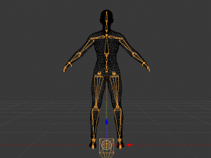 Woman in Wetsuit 3D 模型