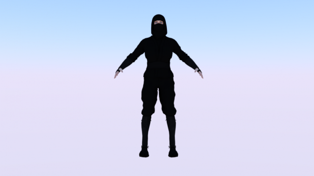 Woman Ninja 3Dモデル .c4d .max .obj .3ds .fbx .stl .blend