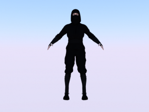 Woman Ninja 3D Model