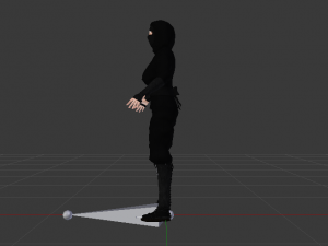 Woman Ninja 3Dモデル
