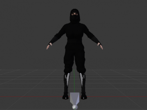 Woman Ninja 3Dモデル