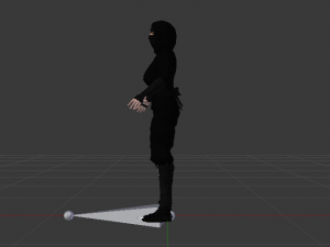 Woman Ninja 3Dモデル