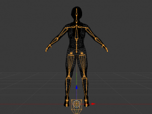 Woman Triathlete 3D Model