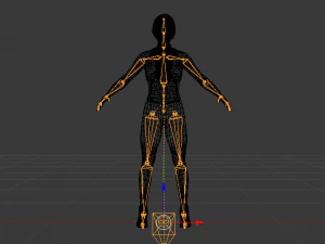 Woman Triathlete 3D Model