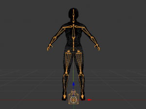 Woman Triathlete 3D Model