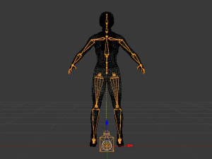 Woman Triathlete 3D Model