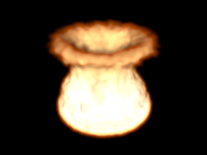 Fire Simulation Modello 3D