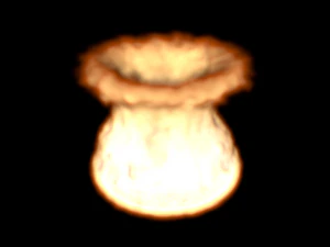 Fire Simulation 3D Model