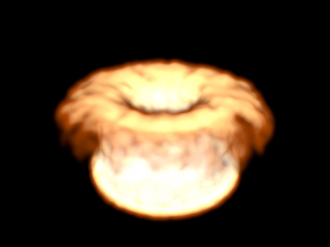 Fire Simulation Modello 3D