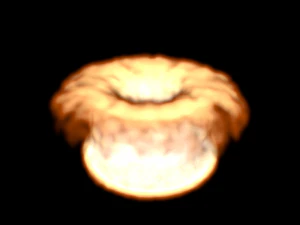 Fire Simulation 3D Model