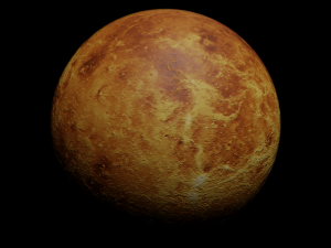Venus - made in Blender Model 3D