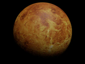Venus - made in Blender 3D Model