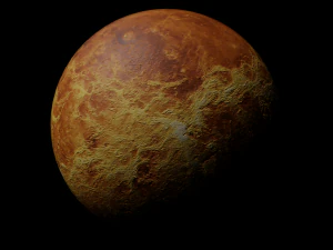Venus - made in Blender 3D Model