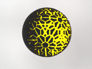 Force Field 3D Model