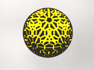 Force Field 3D Model