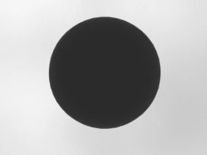 Force Field 3D Model