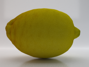 Lemon 3D Model