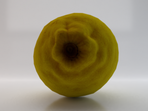 Lemon 3D Model