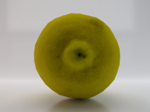 Lemon 3D Model