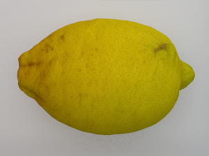 Lemon 3D Model