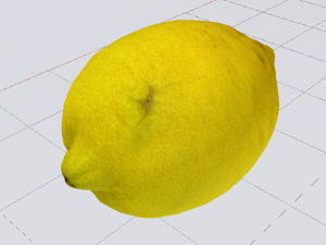 Lemon 3D Model