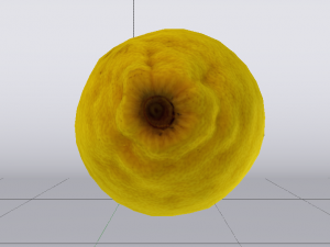 Lemon 3D Model