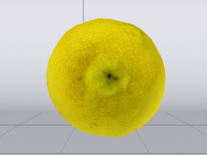 Lemon 3D Model
