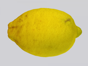 Lemon 3D Model