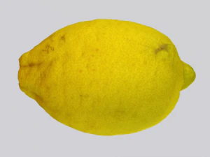 Lim&atilde;o Modelo 3D