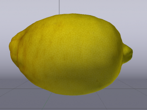 Lemon 3D Model