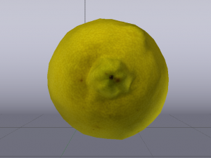Lemon 3D Model