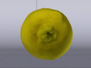 Lim&atilde;o Modelo 3D