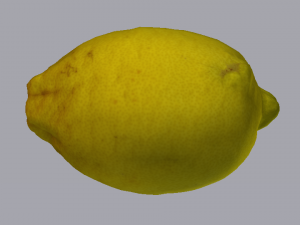 Lemon 3D Model