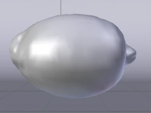 Lim&atilde;o Modelo 3D