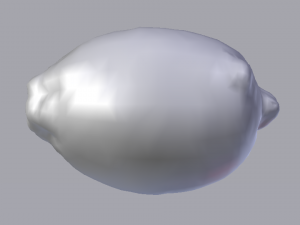 Lemon 3D Model
