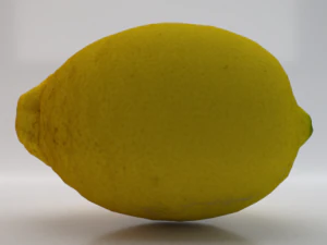 Lemon 3D Model