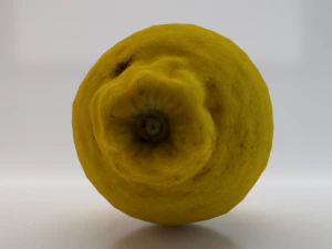 Lemon 3D Model