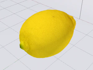 Lemon 3D Model