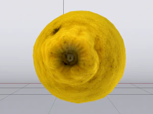 Lemon 3D Model