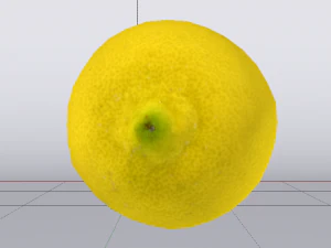 Lemon 3D Model
