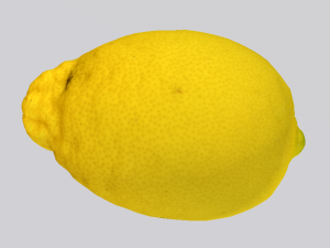 Lemon 3D-Modell