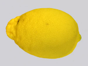 Lemon 3D Model