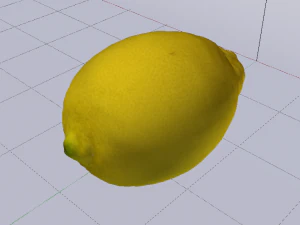 Lemon 3D Model