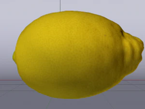 Lemon 3D Model