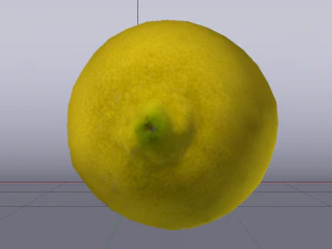 Lemon 3D Model